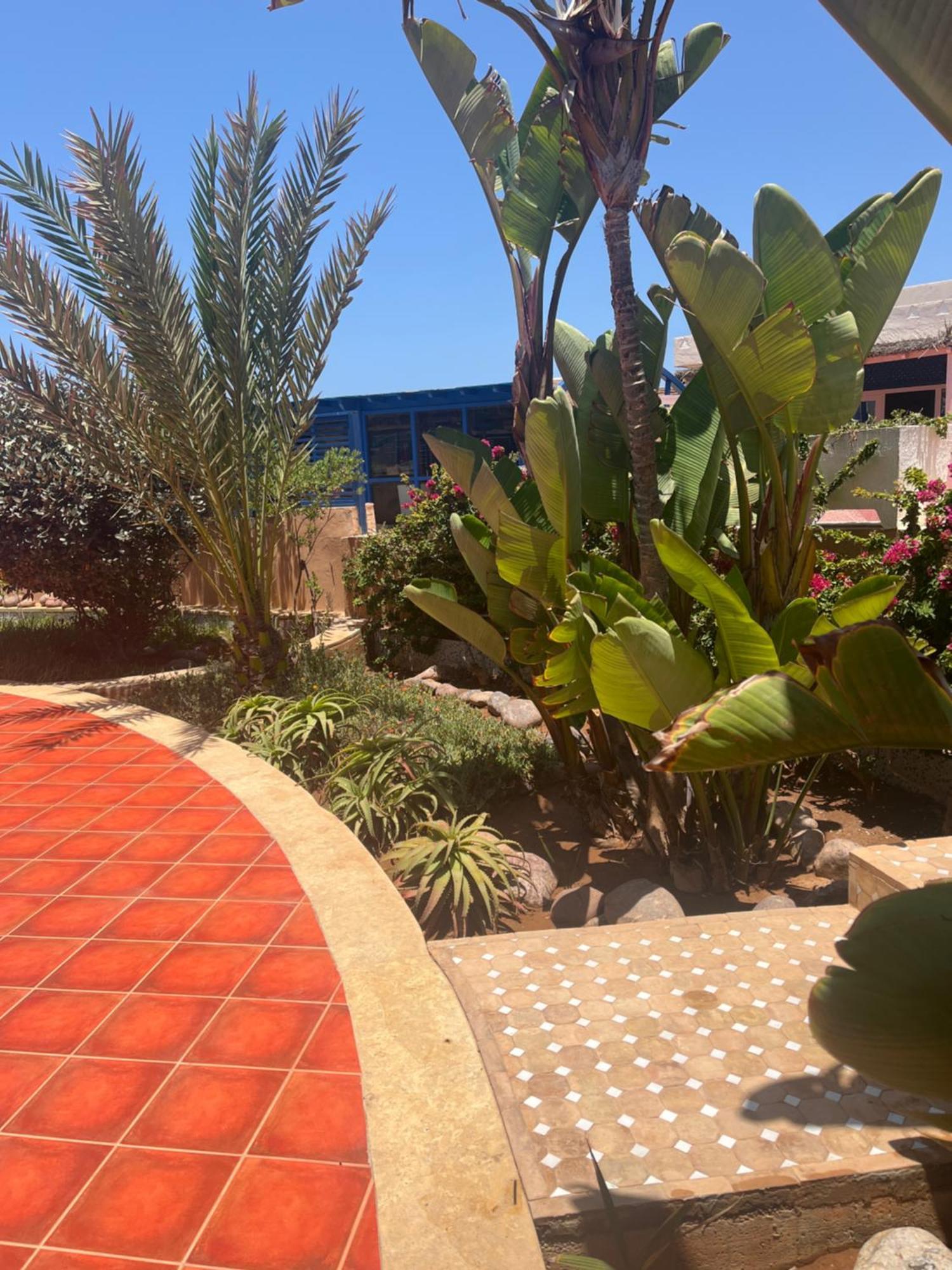 Mimid Dunes Beach Hotel Mirleft Exterior foto