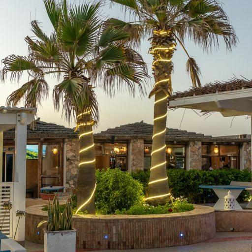 Mimid Dunes Beach Hotel Mirleft Exterior foto